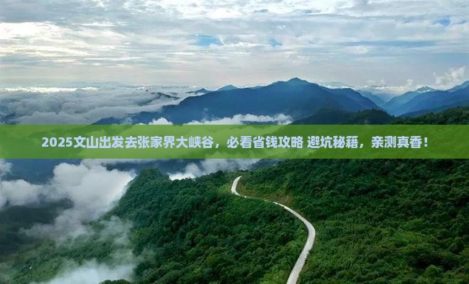 文山去张家界大峡谷景点