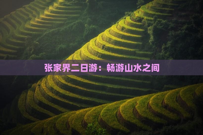 中秋节到张家界二日游 中秋节到张家界二日游