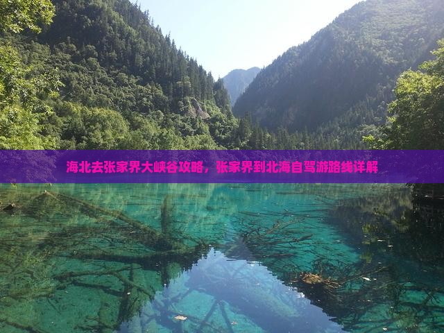 海北去张家界大峡谷攻略