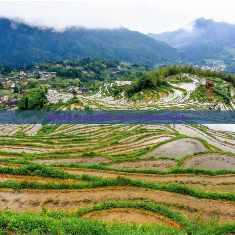 黑河到张家界大峡谷五日游