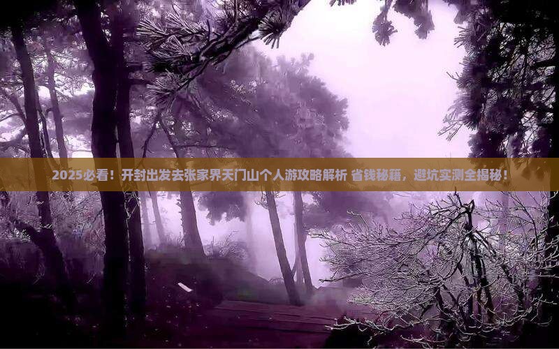 开封去张家界天门山个人游