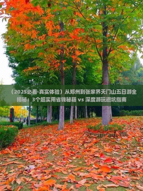 郑州到张家界天门山五日游