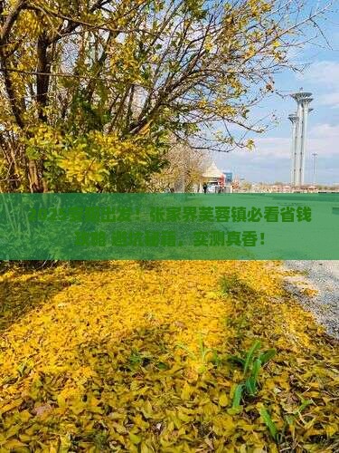 安阳去张家界芙蓉镇攻略