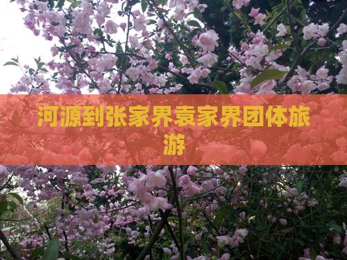 河源到张家界袁家界团体旅游