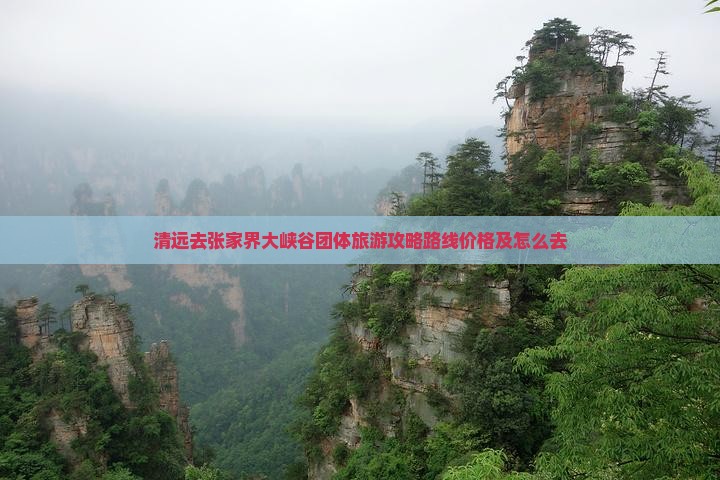 清远去张家界大峡谷团体旅游