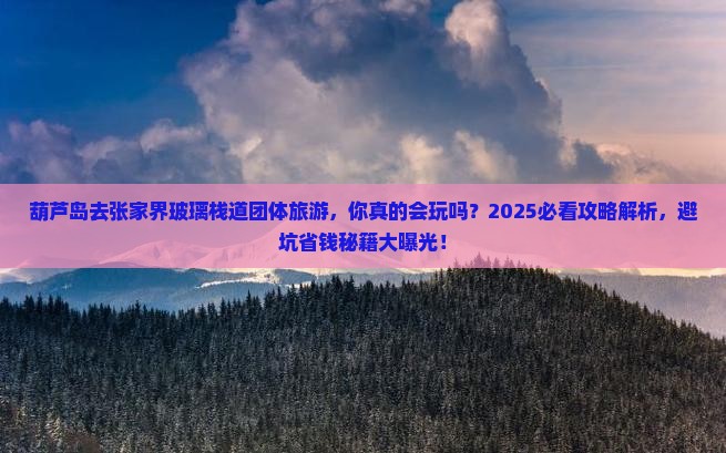 葫芦岛去张家界玻璃栈道团体旅游