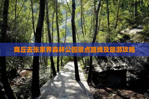 商丘去张家界森林公园景点