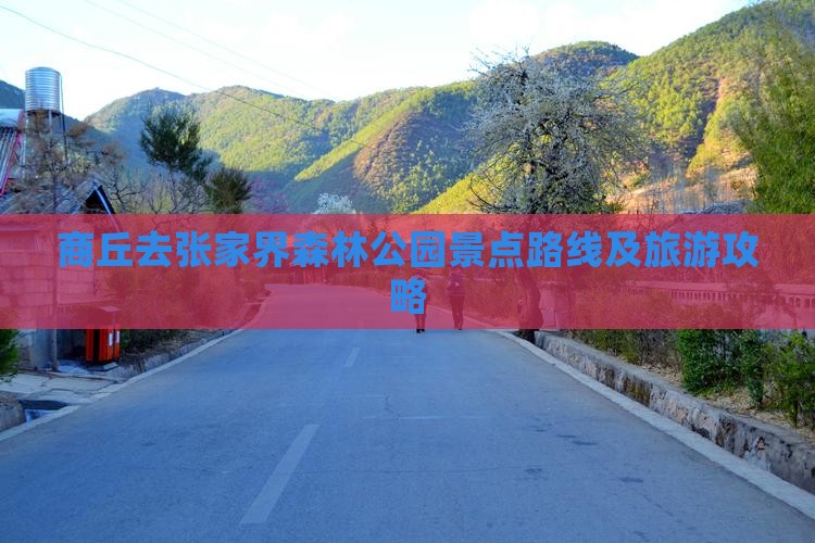 商丘去张家界森林公园景点