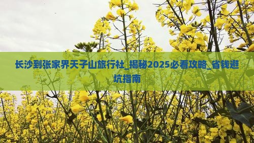 长沙到张家界天子山旅行社