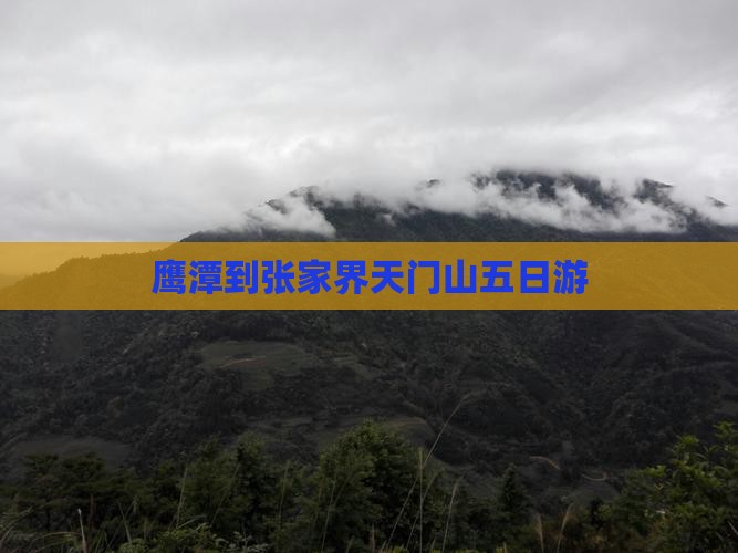 鹰潭到张家界天门山五日游 鹰潭到张家界天门山五日游