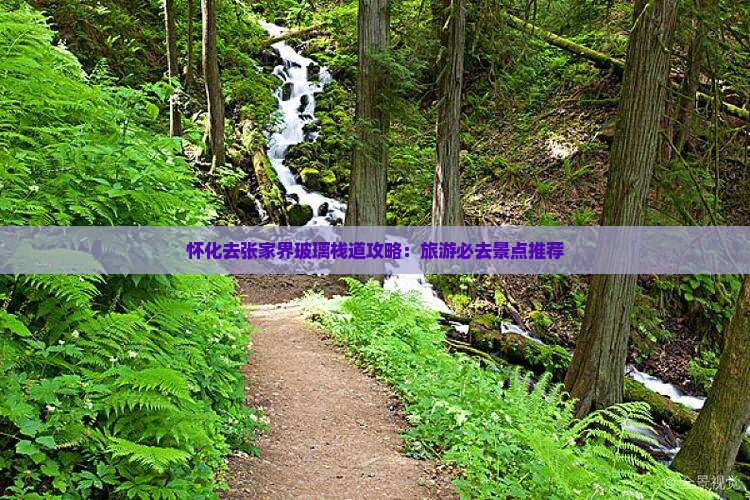 怀化去张家界玻璃栈道哪里玩