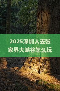 深圳到张家界大峡谷个人游