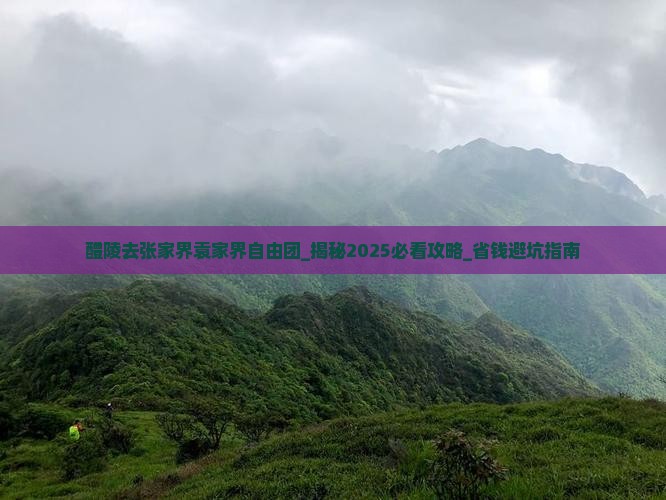 醴陵去张家界袁家界自由团