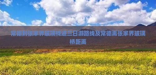 常德到张家界玻璃栈道三日游