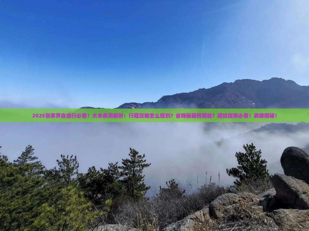 大丰去张家界自由行
