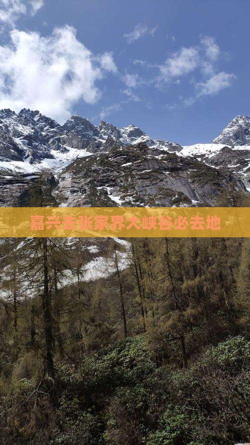 嘉兴去张家界大峡谷必去地