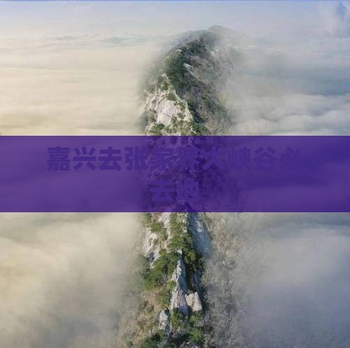 嘉兴去张家界大峡谷必去地