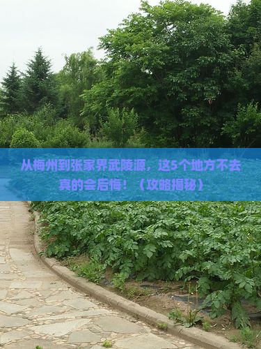 梅州到张家界武陵源必去地