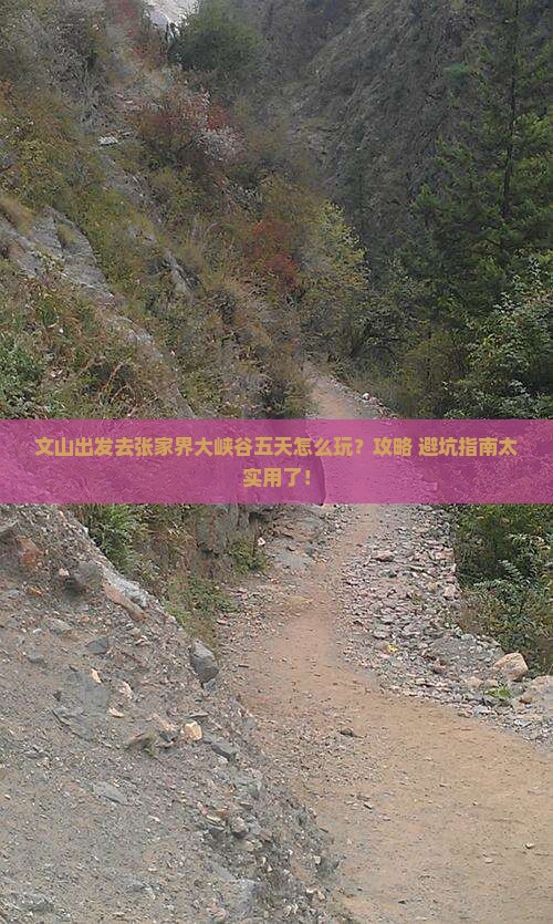 文山去张家界大峡谷五日游