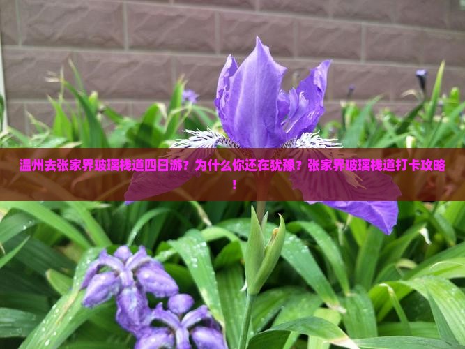 温州去张家界玻璃栈道四日游