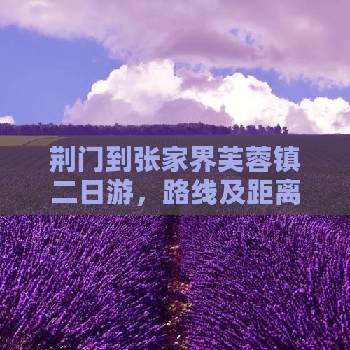 荆门到张家界芙蓉镇二日游