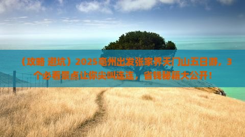 亳州到张家界天门山五日游