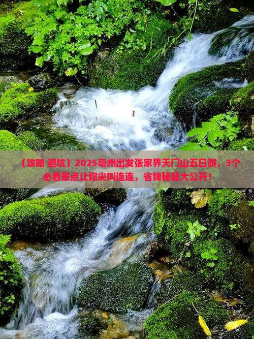 亳州到张家界天门山五日游