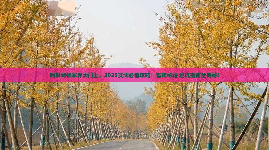 阿坝到张家界天门山景点