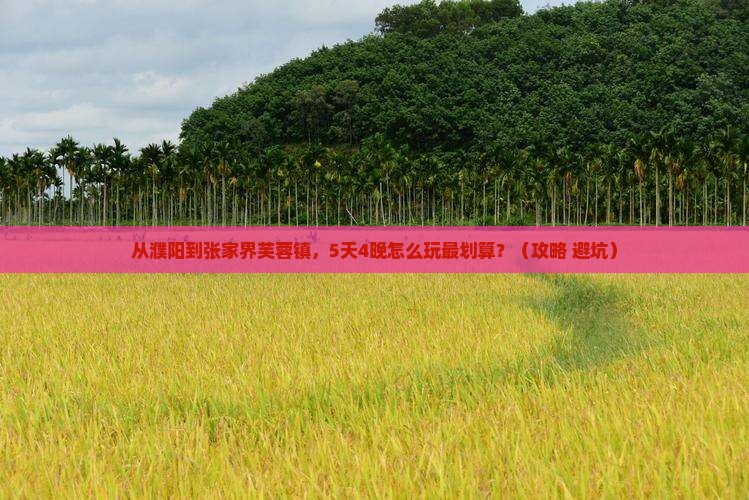 濮阳去张家界芙蓉镇门票