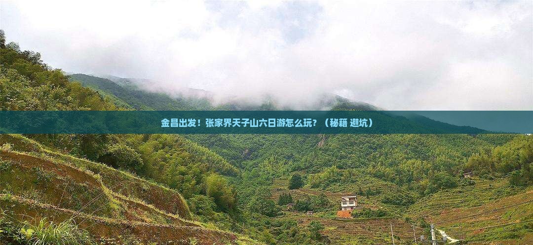 金昌到张家界天子山六日游