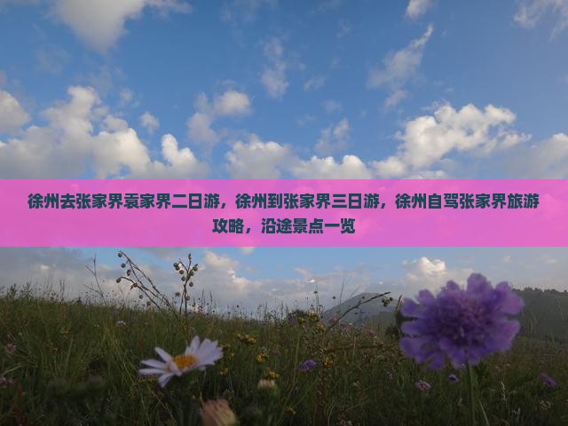 徐州去张家界袁家界二日游