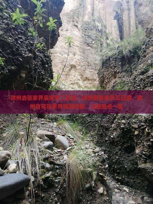 徐州去张家界袁家界二日游