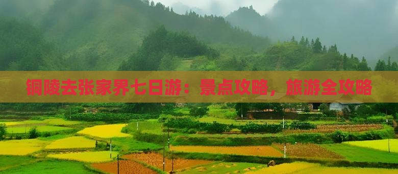 铜陵去张家界七日游
