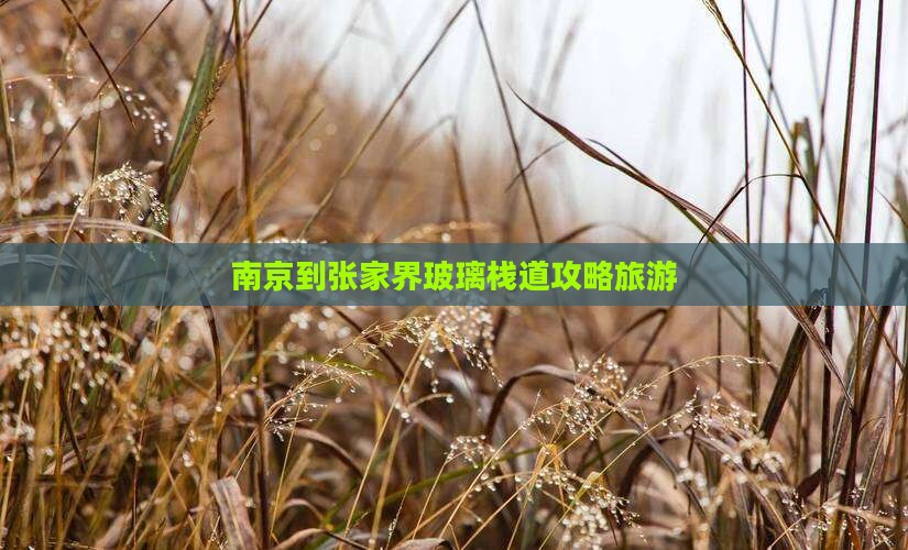 南京到张家界玻璃栈道旅行社