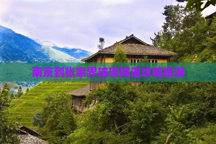 南京到张家界玻璃栈道旅行社