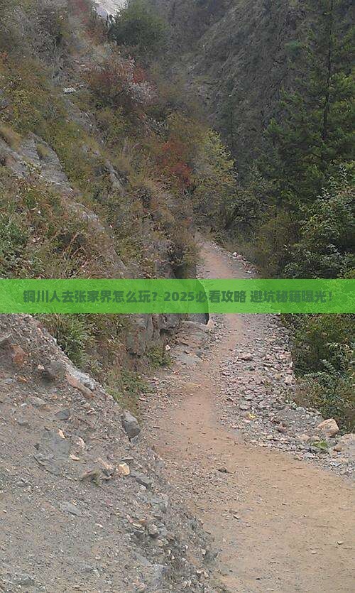 铜川去张家界旅游