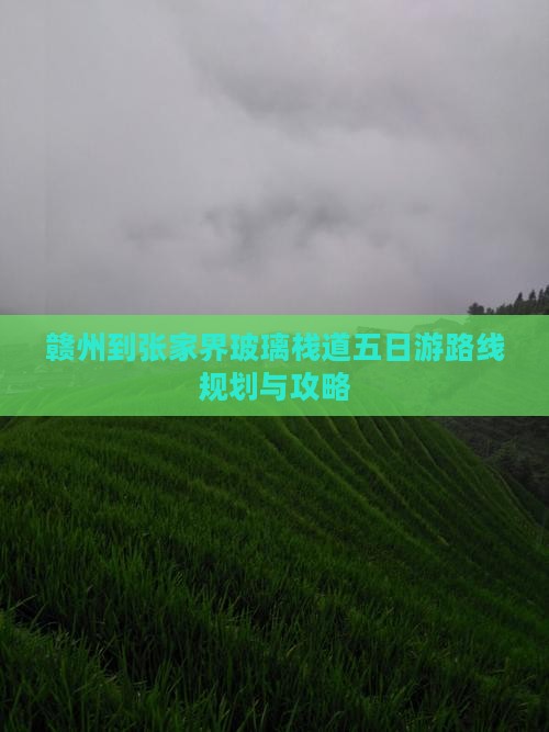 赣州到张家界玻璃栈道五日游