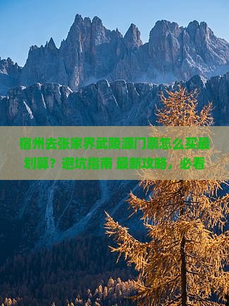 宿州去张家界武陵源门票