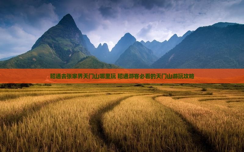 昭通去张家界天门山哪里玩