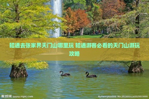 昭通去张家界天门山哪里玩