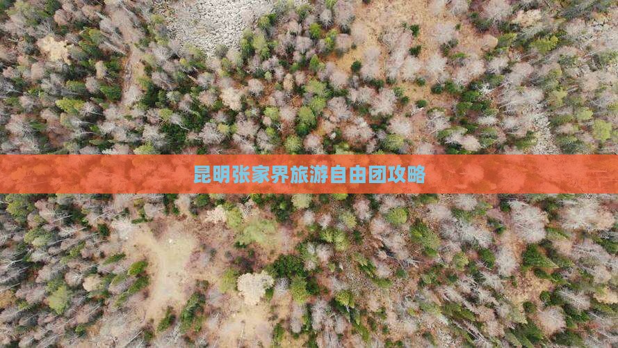 昆明到张家界森林公园自由团