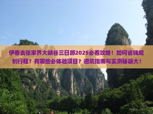 伊春去张家界大峡谷三日游