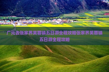 广元去张家界芙蓉镇五日游
