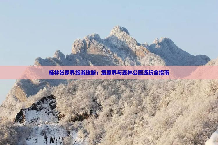 桂林去张家界袁家界哪里玩