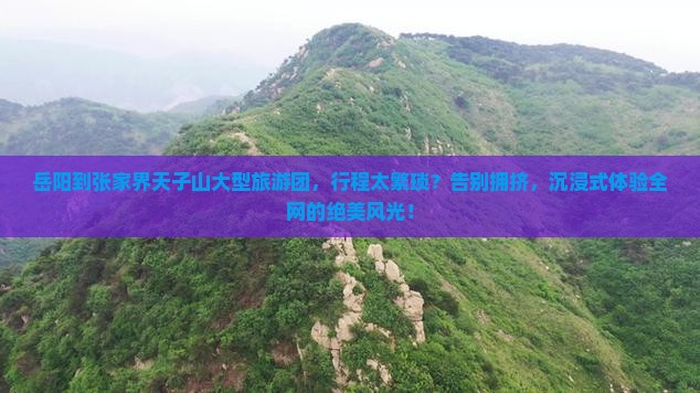 岳阳到张家界天子山大型旅游团