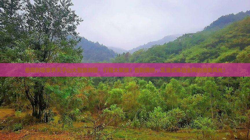 岳阳到张家界天子山大型旅游团