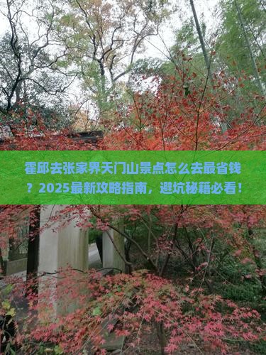 霍邱去张家界天门山景点