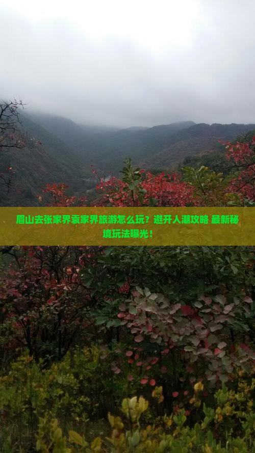 眉山去张家界袁家界旅游