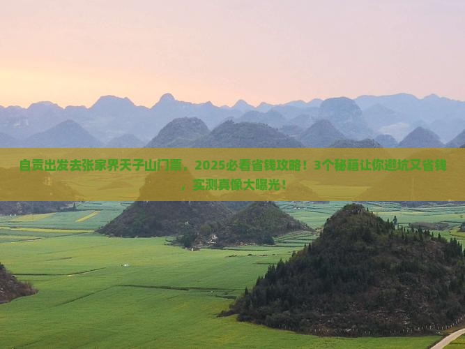 自贡到张家界天子山门票