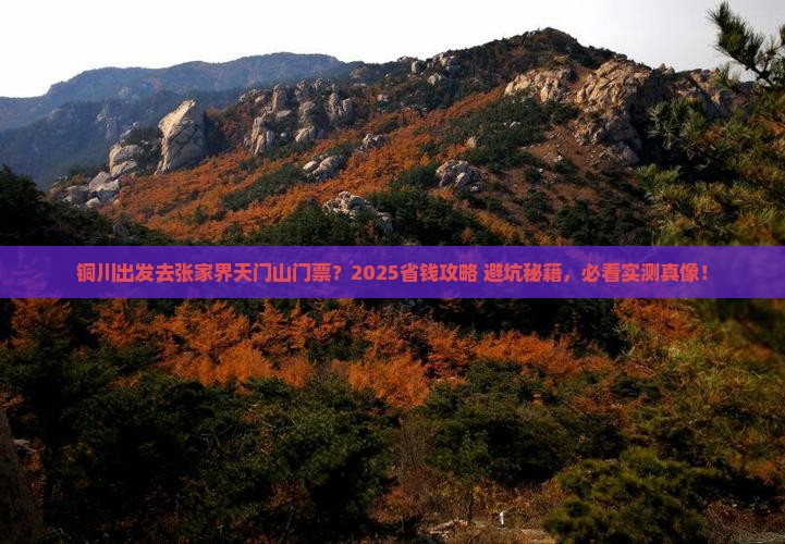 铜川去张家界天门山门票